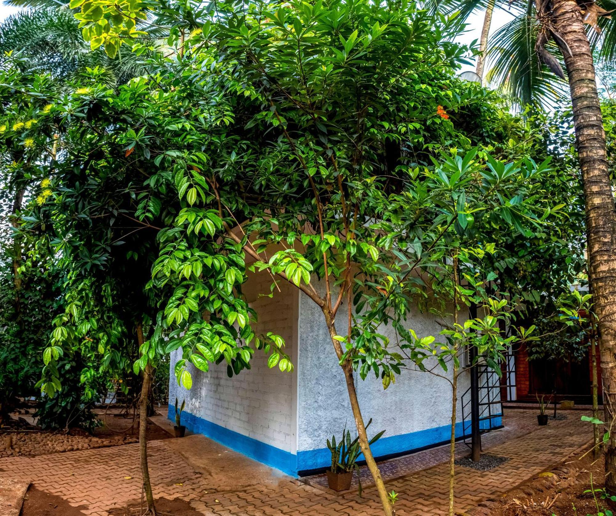 Jays Place Matale Kawudupelella المظهر الخارجي الصورة